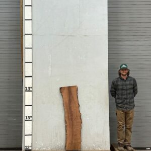 Live Edge Mesquite Wood Slab Front- ME-314-01