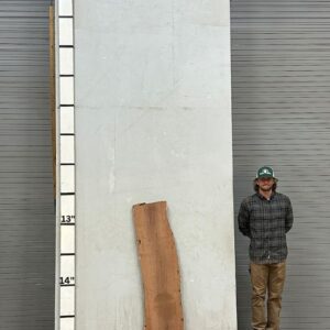 Live Edge Mesquite Wood Slab Front- ME-315-01