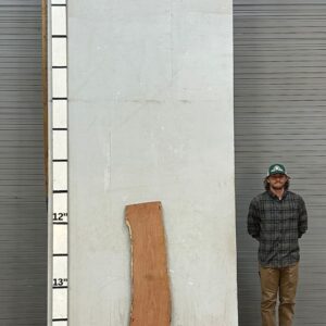 Live Edge Mesquite Wood Slab Front- ME-313-01