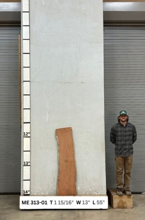 Live Edge Mesquite Wood Slab Front- ME-313-01