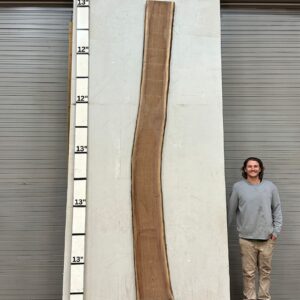 Live Edge Walnut Wood Slab Back- WA-028-01