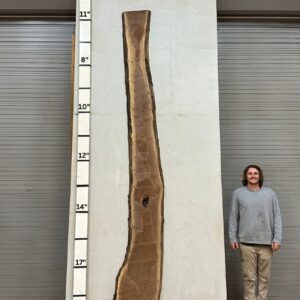 Live Edge Walnut Wood Slab Back- WA-029-01
