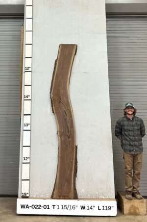 Live Edge Walnut Wood Slab Front- WA-022-01