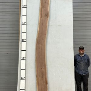 Live Edge Walnut Wood Slab - Front WA-023-01
