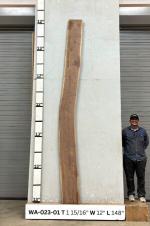 Live Edge Walnut Wood Slab - Front WA-023-01