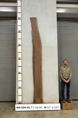 Live Edge Walnut Slab WA 024-01