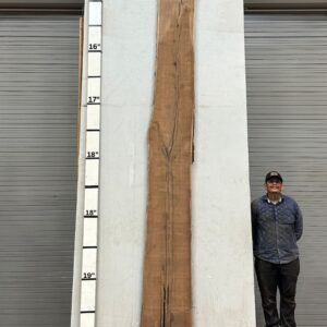 Live Edge Walnut Wood Slab Front WA-025-01