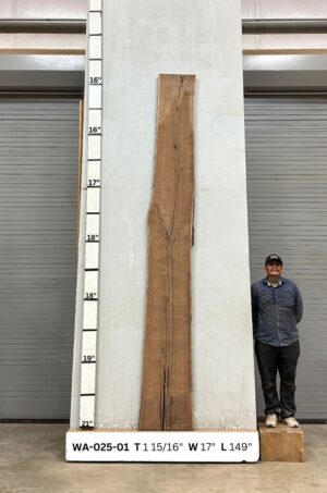 Live Edge Walnut Wood Slab Front WA-025-01