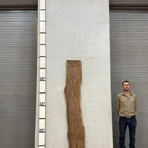 Live Edge Walnut Wood Slab Front- WA-026-01