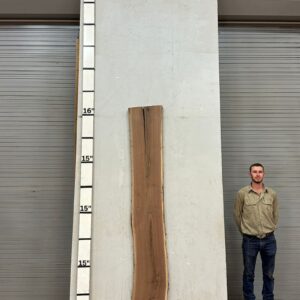 Live Edge Walnut Wood Slab Front- WA-027-01