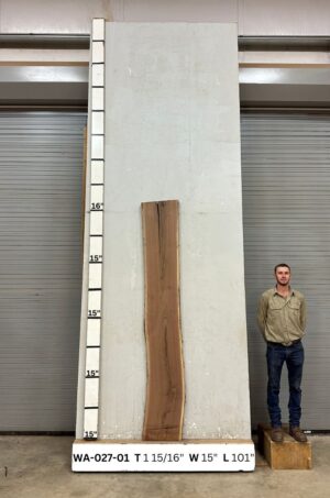 Live Edge Walnut Wood Slab Front- WA-027-01