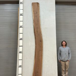 Live Edge Walnut Wood Slab Front- WA-028-01
