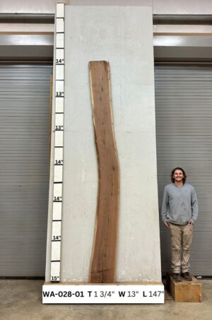 Live Edge Walnut Wood Slab Front- WA-028-01