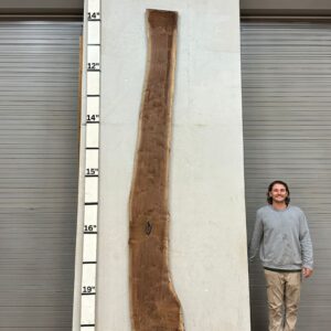 Live Edge Walnut Wood Slab Front- WA-029-01