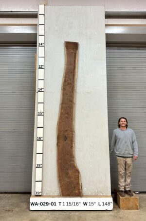 Live Edge Walnut Wood Slab Front- WA-029-01