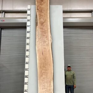 Live Edge Pecan Wood Slab - Back PE-806-01
