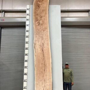 Live Edge Pecan Wood Slab - Back PE-806-03
