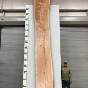 Live Edge Pecan Wood Slab - Back PE-806-05