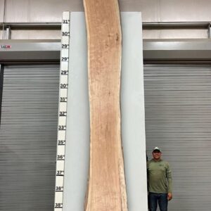 Live Edge Pecan Wood Slab - Back PE-806-05