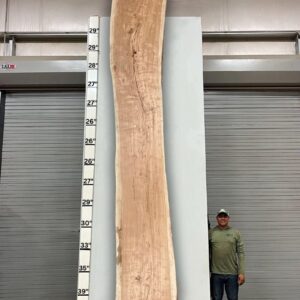 Live Edge Pecan Wood Slab - Back PE-806-06