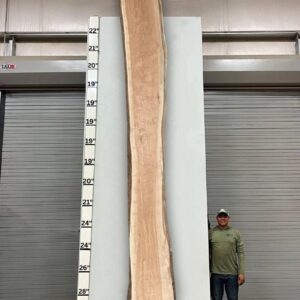 Live Edge Pecan Wood Slab - Back PE-806-08