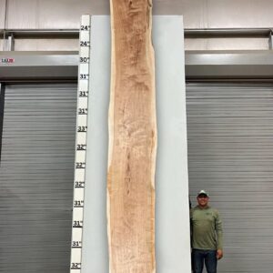 Live Edge Pecan Wood Slab - Front PE-806-01
