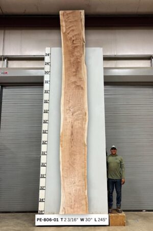 Live Edge Pecan Wood Slab - Front PE-806-01