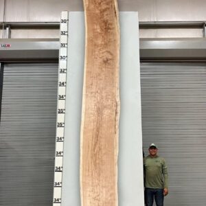 Live Edge Pecan Wood Slab - Front PE-806-02