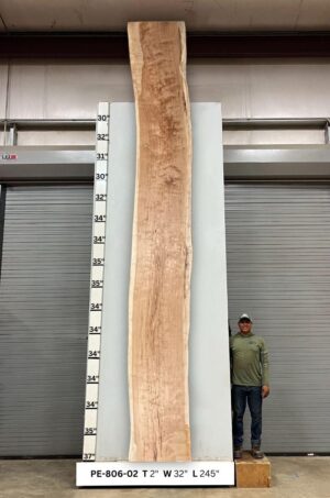 Live Edge Pecan Wood Slab - Front PE-806-02
