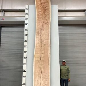 Live Edge Pecan Wood Slab - Front PE-806-03