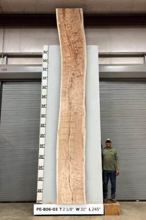 Live Edge Pecan Wood Slab - Front PE-806-03