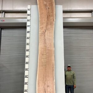 Live Edge Pecan Wood Slab - Front PE-806-04