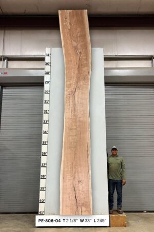 Live Edge Pecan Wood Slab - Front PE-806-04