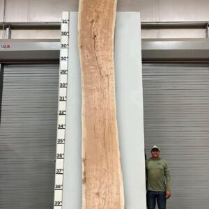Live Edge Pecan Wood Slab - Front PE-806-05