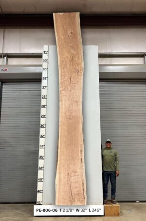 Live Edge Pecan Wood Slab - Front PE-806-06