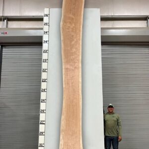 Live Edge Pecan Wood Slab - Front PE-806-06