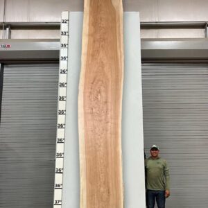 Live Edge Pecan Wood Slab - Back PE-013-01