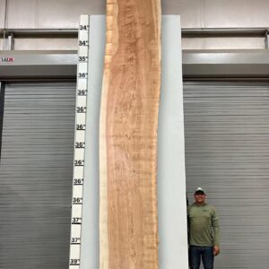 Live Edge Pecan Wood Slab - Back PE-013-02