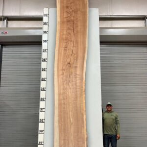 Live Edge Pecan Wood Slab - Back PE-013-03