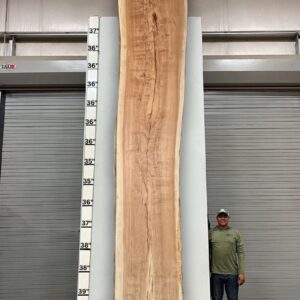 Live Edge Pecan Wood Slab - Back PE-013-04