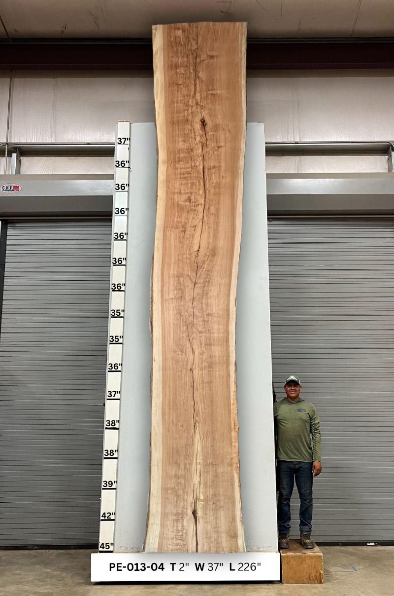 Live Edge Pecan Wood Slab - Back PE-013-04