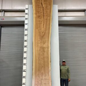 Live Edge Pecan Wood Slab - Back PE-013-05