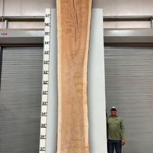 Live Edge Pecan Wood Slab - Back PE-013-06