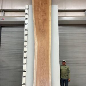 Live Edge Pecan Wood Slab - Back PE-013-07