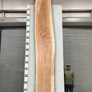 Live Edge Pecan Wood Slab - Front PE-013-01