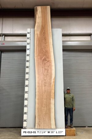 Live Edge Pecan Wood Slab - Front PE-013-01