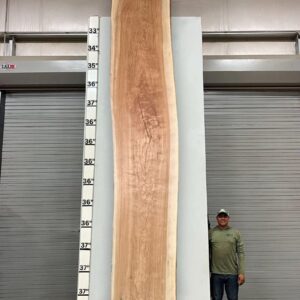 Live Edge Pecan Wood Slab - Front PE-013-02