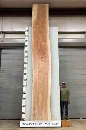 Live Edge Pecan Wood Slab - Front PE-013-02