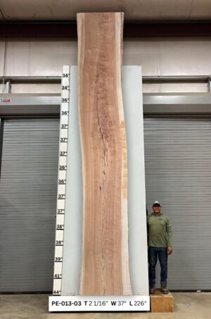 Live Edge Pecan Wood Slab - Front PE-013-03