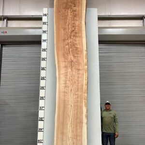 Live Edge Pecan Wood Slab - Front PE-013-04